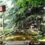 photo 2023-05-17 15-33-31