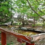 photo 2022-04-24 10-37-35