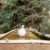 photo 2023-03-20 11-37-05