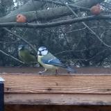 photo 2022-12-10 13-56-21