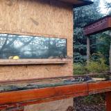 photo 2022-11-13 08-12-20