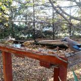 photo 2022-10-20 08-27-30