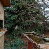 photo 2021-11-18 11-40-32