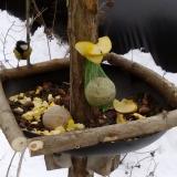 photo 2019-01-12 12-19-27