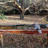 photo 2021-10-26 08-43-24