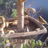 photo 2019-12-08 14-01-50