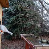 photo 2021-12-15 08-54-24