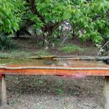 photo 2021-05-07 11-58-28