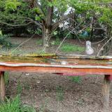 photo 2021-04-25 15-54-32