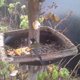 photo 2019-12-08 07-44-26