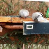 photo 2021-03-04 12-42-52