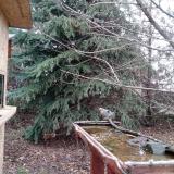 photo 2021-12-11 12-09-20