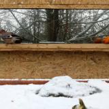 photo 2022-01-22 09-34-15