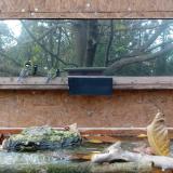 photo 2023-10-25 16-18-25