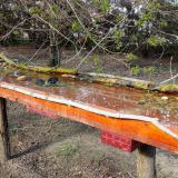 photo 2021-04-08 16-28-41