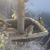 photo 2019-12-29 09-54-12