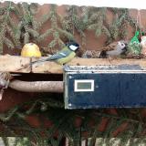 photo 2021-02-10 10-17-18