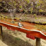 photo 2021-04-06 12-52-49