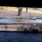 photo 2021-12-04 15-05-05