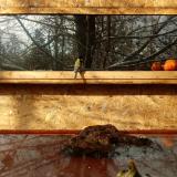 photo 2022-01-22 10-33-47