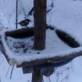 photo 2019-01-08 15-53-31