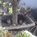 photo 2019-12-02 08-07-50