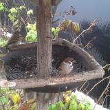 photo 2019-12-02 09-43-48