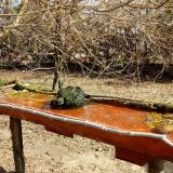 photo 2021-03-26 09-43-51