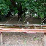 photo 2021-07-02 14-48-51