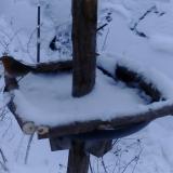 photo 2019-01-05 15-26-37