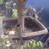 photo 2019-12-08 12-48-47