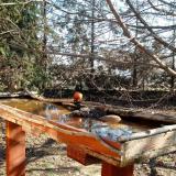 photo 2022-03-14 09-13-30