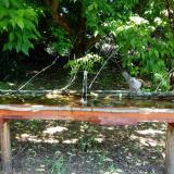 photo 2021-05-21 11-08-13