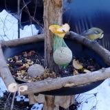 photo 2019-01-14 12-48-03