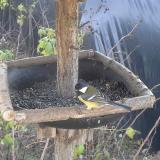 photo 2019-12-17 12-37-29