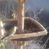 photo 2019-12-29 13-51-26