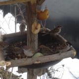 photo 2019-01-31 08-08-33