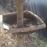 photo 2019-03-01 10-01-19