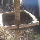 photo 2019-03-05 08-27-48