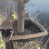 photo 2019-12-25 14-33-35