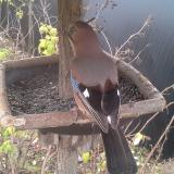 photo 2019-12-19 08-21-34