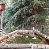 photo 2023-10-04 09-25-23