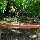 photo 2021-05-11 09-27-44