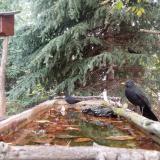 photo 2023-10-10 08-49-18