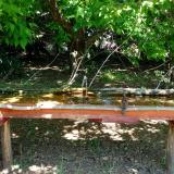 photo 2021-05-10 12-31-56