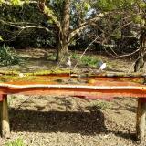 photo 2021-04-12 09-54-27