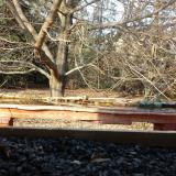 photo 2021-11-01 14-19-24