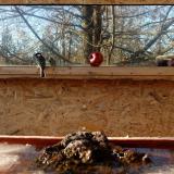 photo 2022-01-15 13-49-38