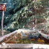 photo 2023-10-16 09-47-35