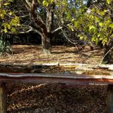 photo 2021-10-19 15-07-12